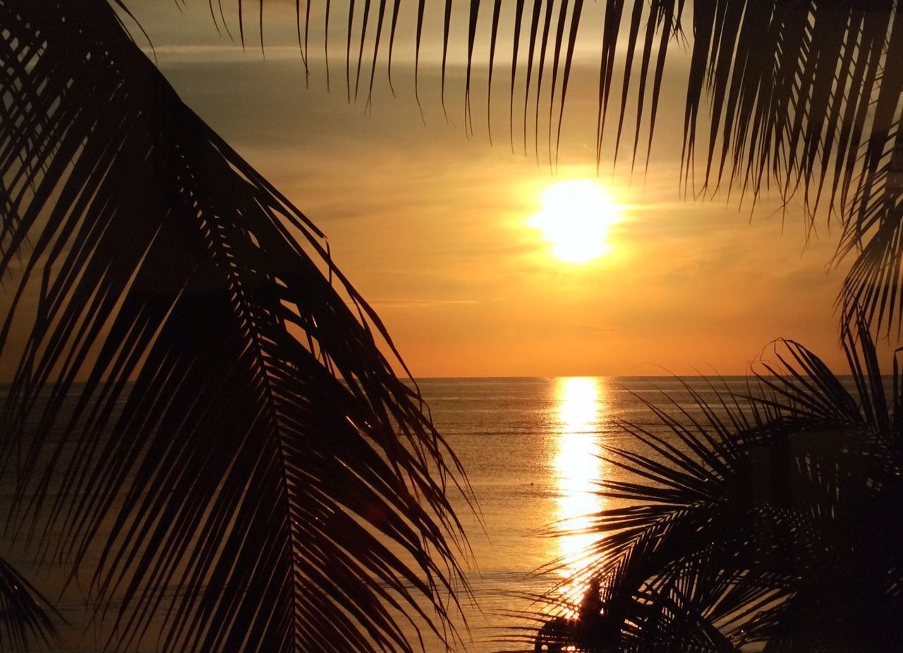 1 Jamaica Sunset